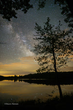 Load image into Gallery viewer, Mazen Hamam - Milky Way night tree photography wall art
