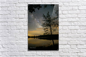 Mazen Hamam - Milky Way night tree photography wall art